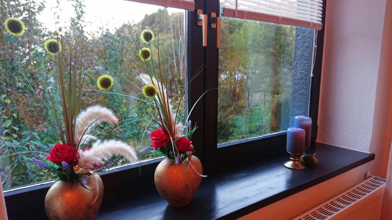 Haus Schoeneck Apartment *
