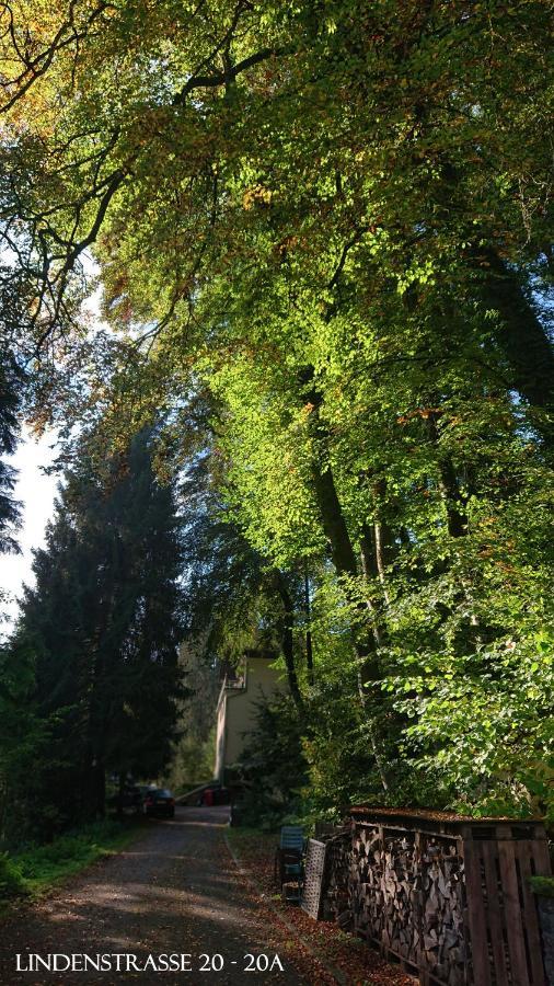 Haus Schoeneck
