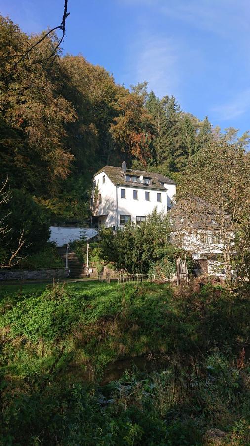 Haus Schoeneck Apartment Schonecken